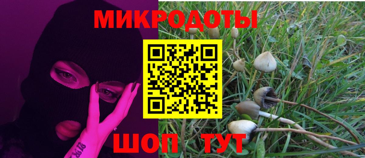 Псилоцибиновые грибы Cubensis Учалы